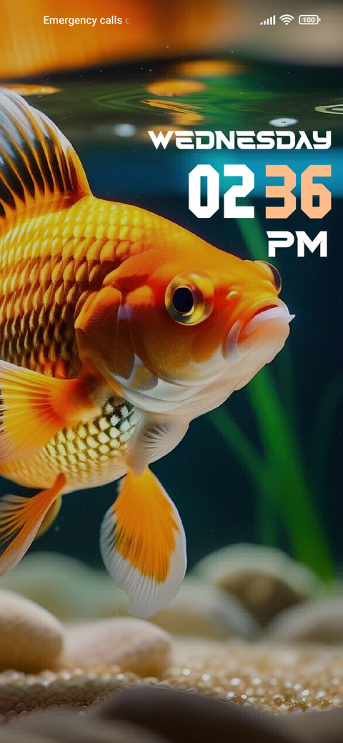 Golden Fish preview