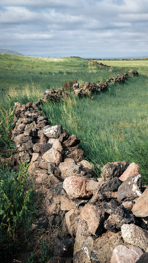 Pasture Fence preview