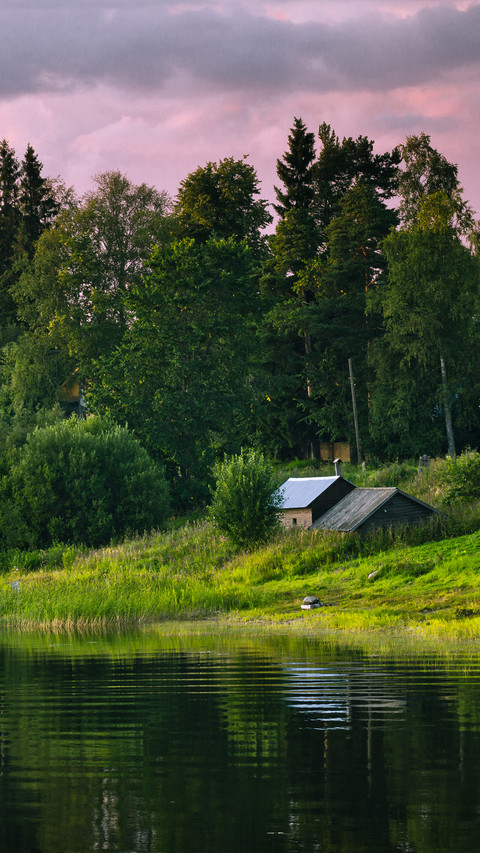 Green Forest miui theme