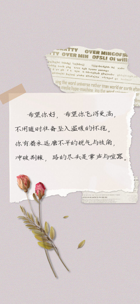 花店玫瑰名字写谁 preview