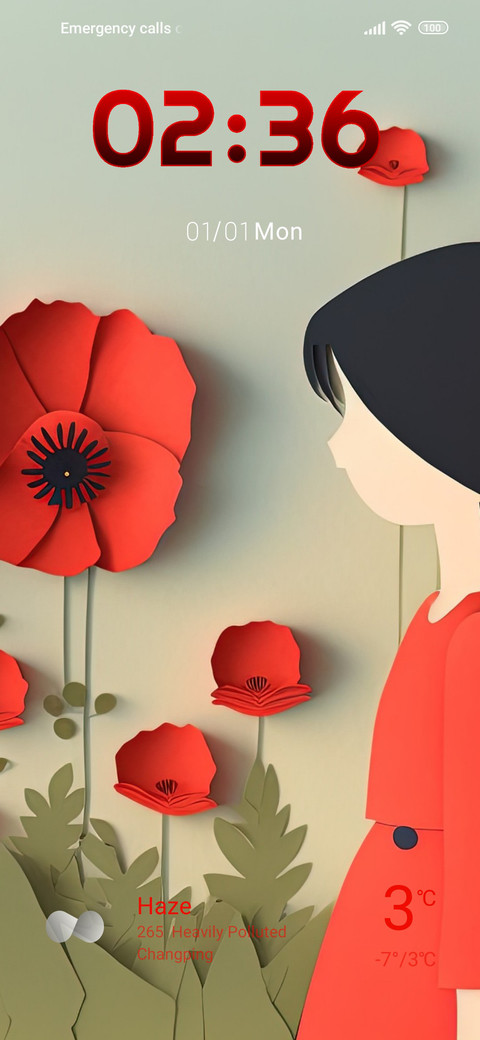 minimal poppies preview