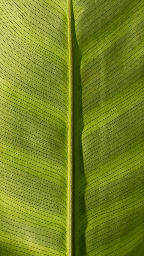 Pattern Play (9) preview