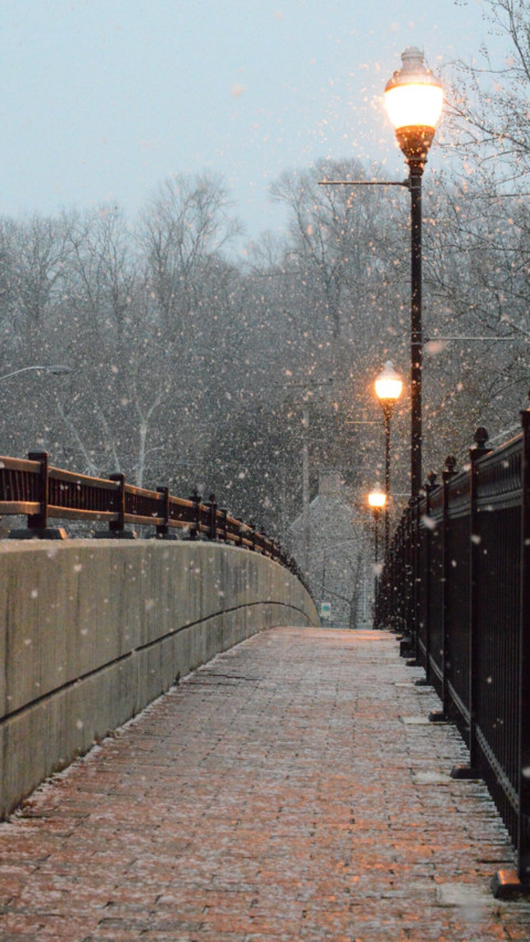 Bridges 2 preview