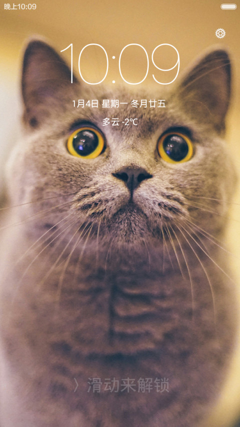 萌喵baby preview