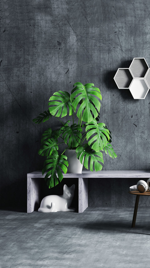 Green plants are the first choice for households with preview
