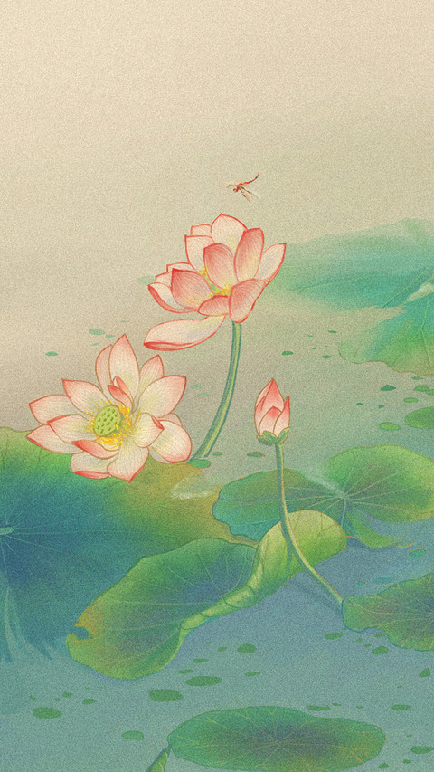 映日荷花别样红 preview