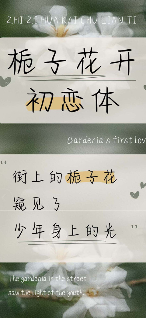 栀子花开初恋体 preview