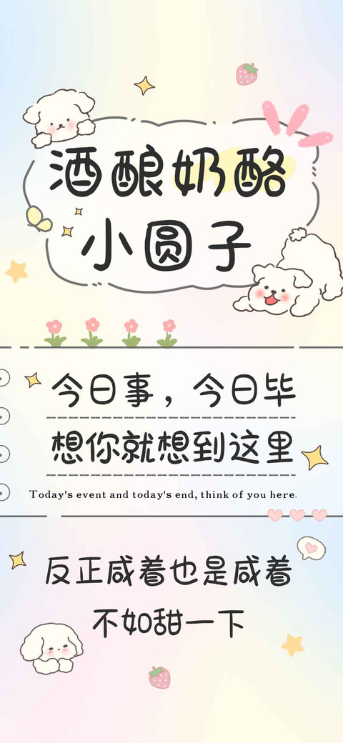 酒酿奶酪小圆子 preview