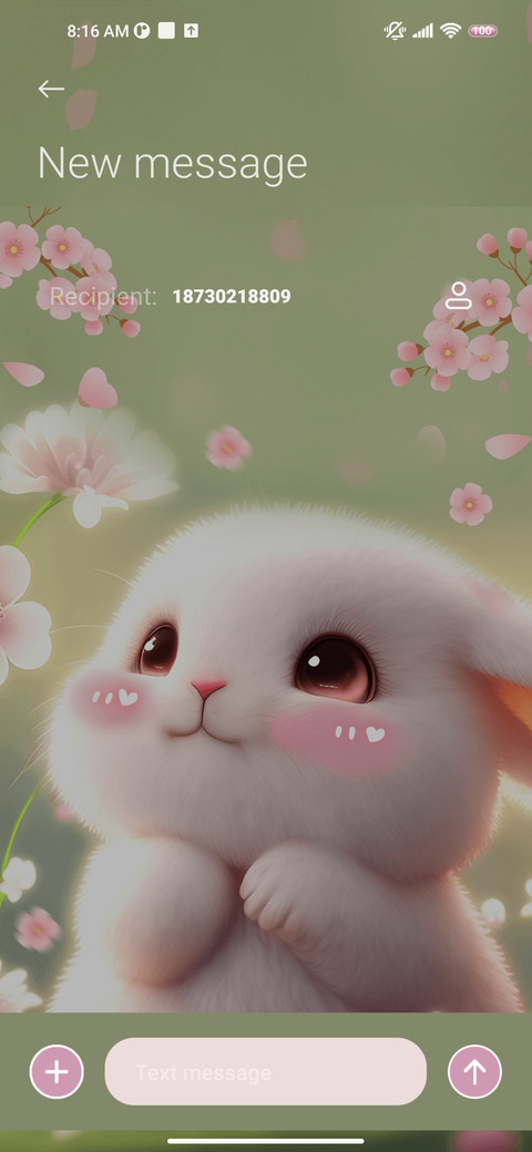 Spring rabbit miui theme