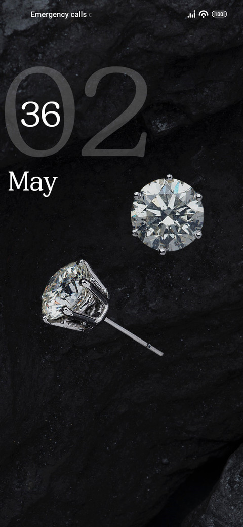 Earrings preview