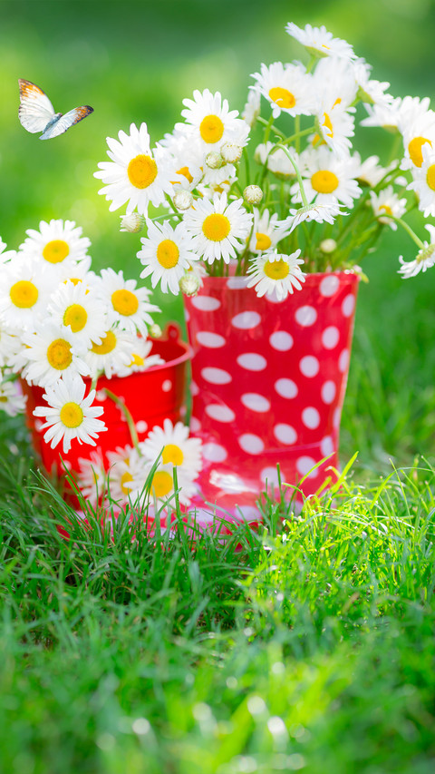 Spring is here preview