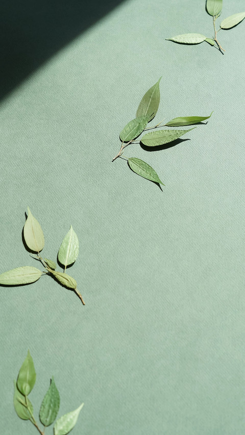 Creative wallpaper-04 preview