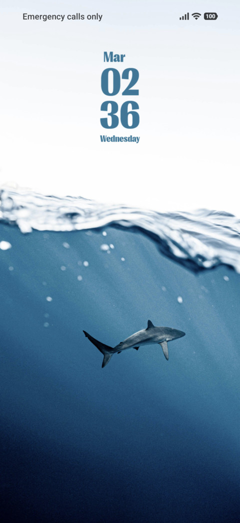 Shark preview