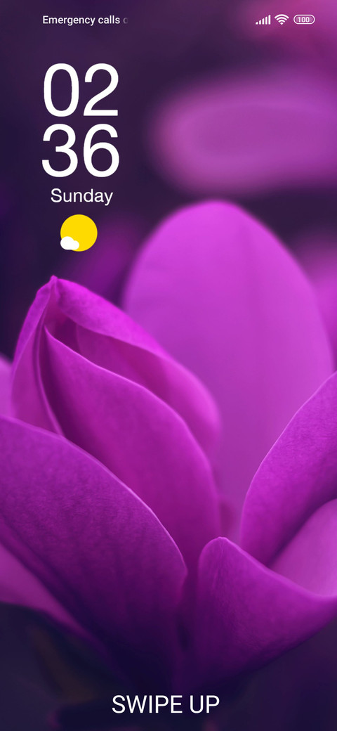 Violet Vista preview