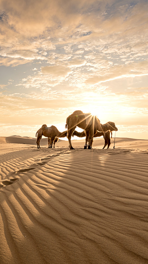 Magnificent Tengger Desert 0 preview