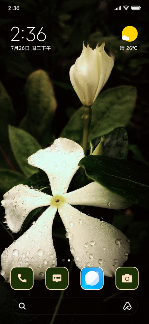 Crepe Jasmine preview