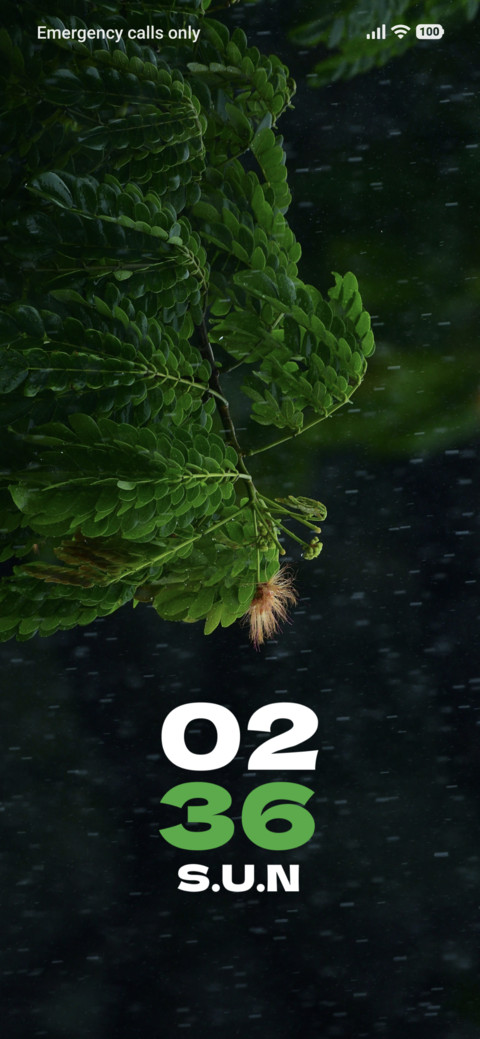 Dew Leaf preview