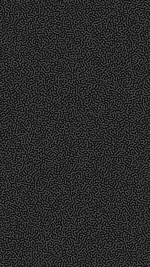 Turing Pattern B&W preview