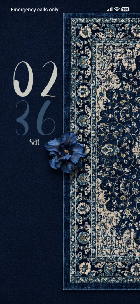 Royal Vibes Only preview