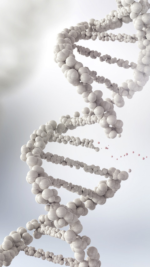 DNA Molecular Structure preview