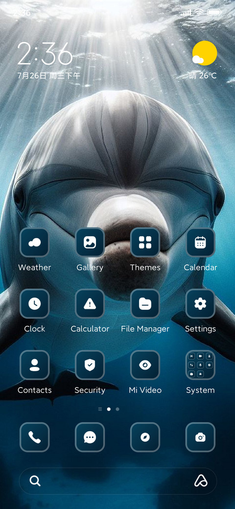 Dolphin preview