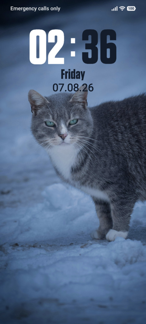 Snow Cat preview