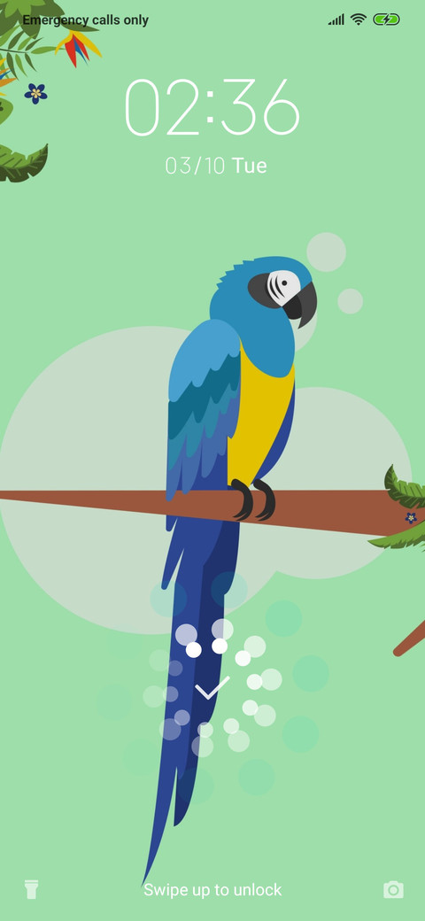 Macaw_3MDS preview