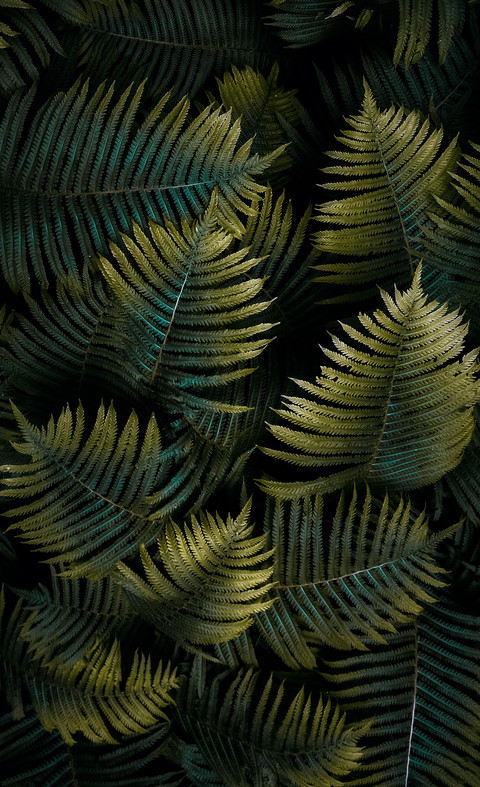 omid-armin-g17w8RVeKuQ-unsplash preview