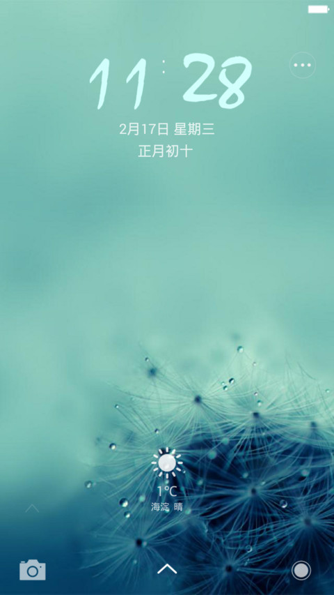 【好评返现】蓝色蒲公英DIR preview
