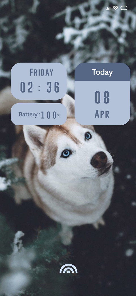 Cute Animal preview