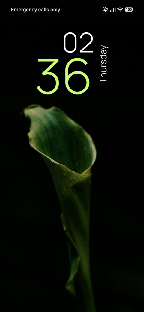 Leaf Texture preview