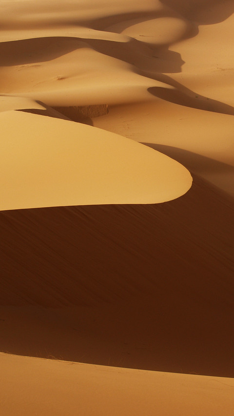 Moving dunes of sand on Sahara desert preview