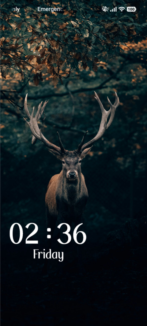 Wildlife preview