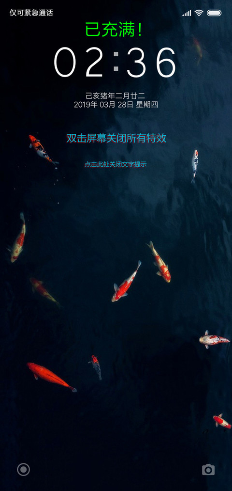 飞猪有鱼 preview