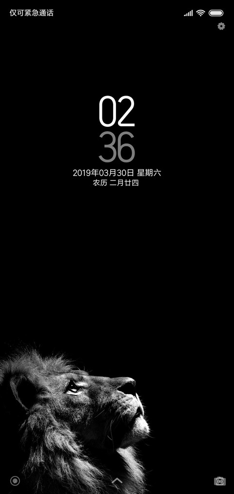 高傲雄狮 preview