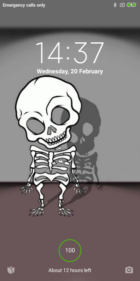 Selow preview