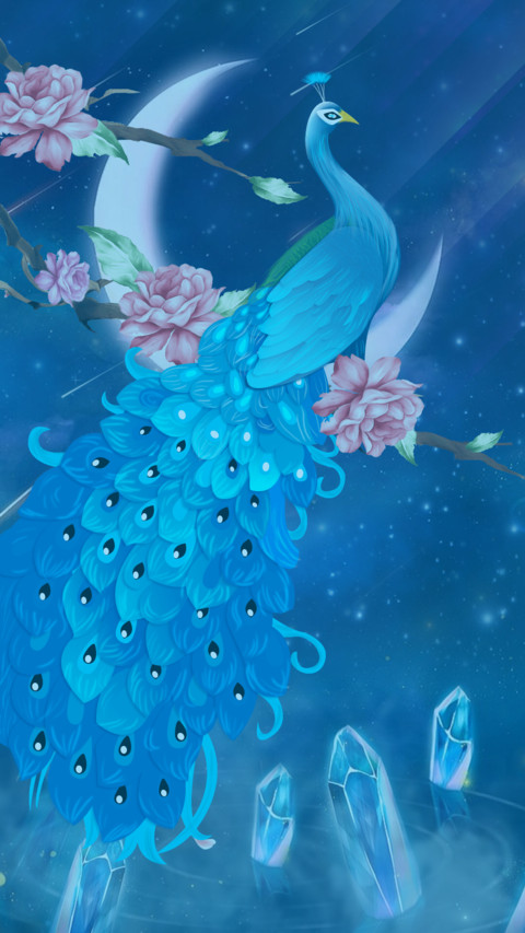 孔雀 preview