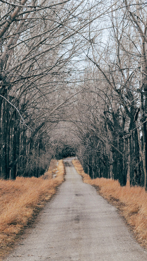 road (9) preview