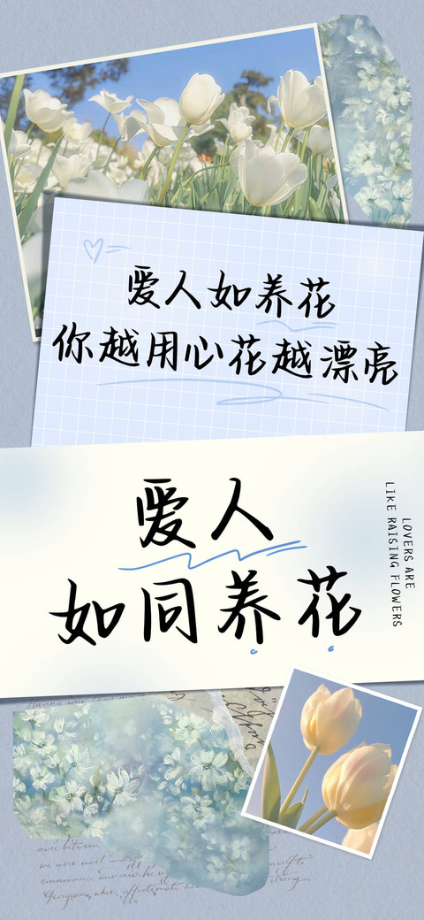 爱人如同养花 preview