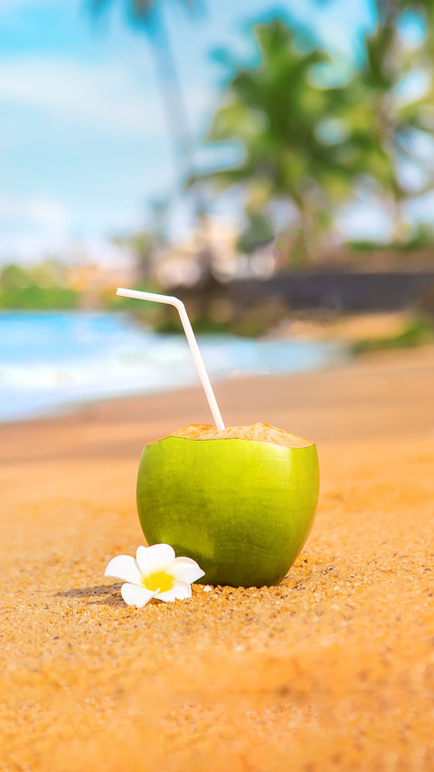 Why is there water hidden in coconuts preview