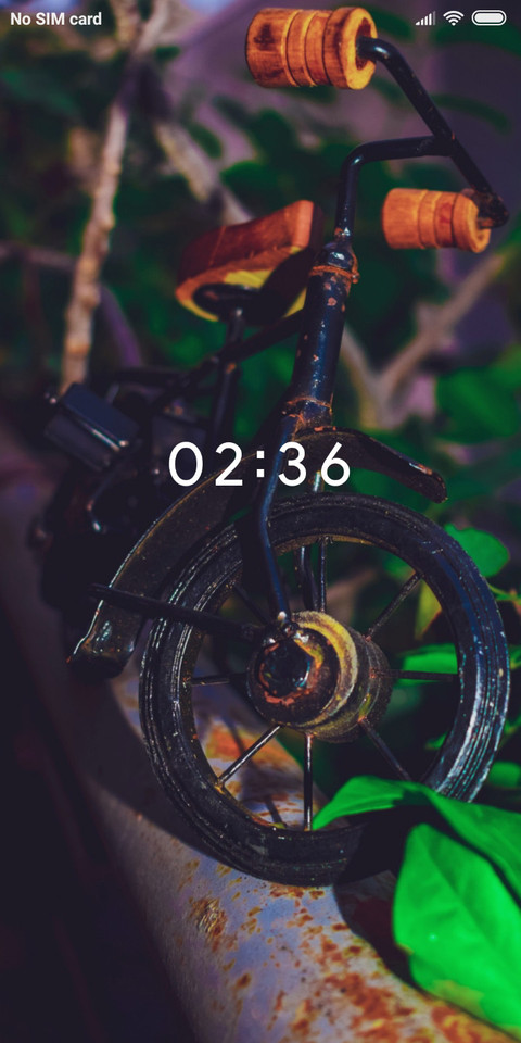 Bicycle_DWM2 preview