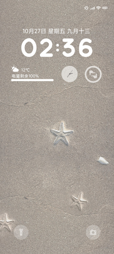 沙滩上的星ins preview