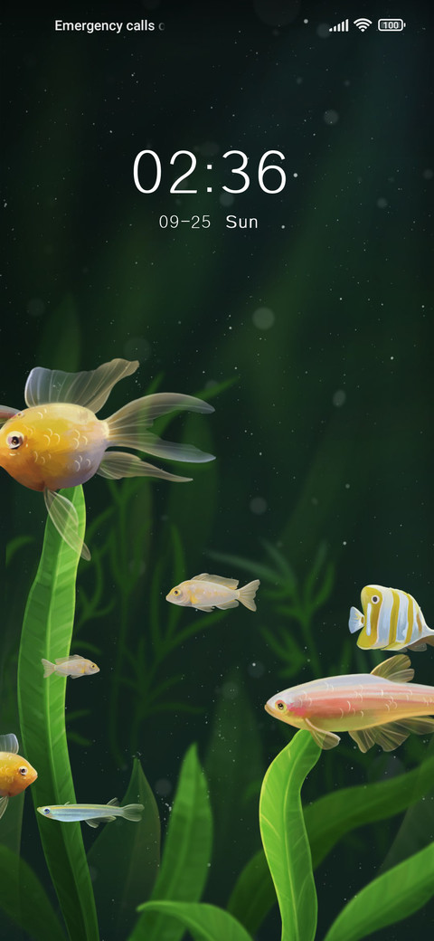 Quping+Aquarium preview