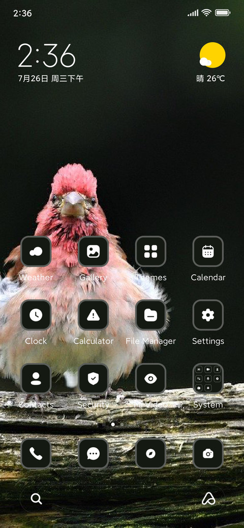 Bird preview