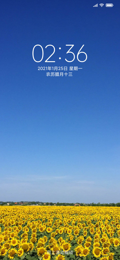 向日葵 preview