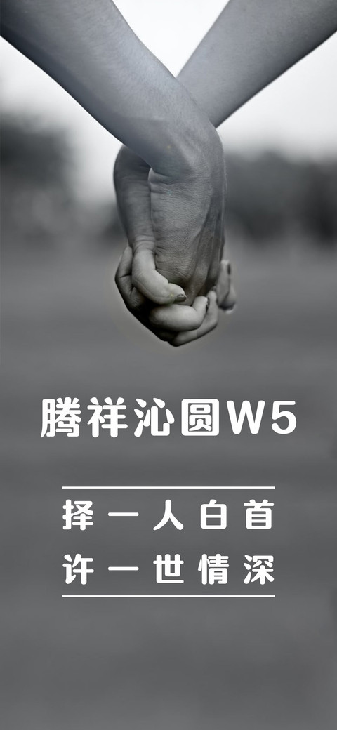 腾祥沁圆W5 preview