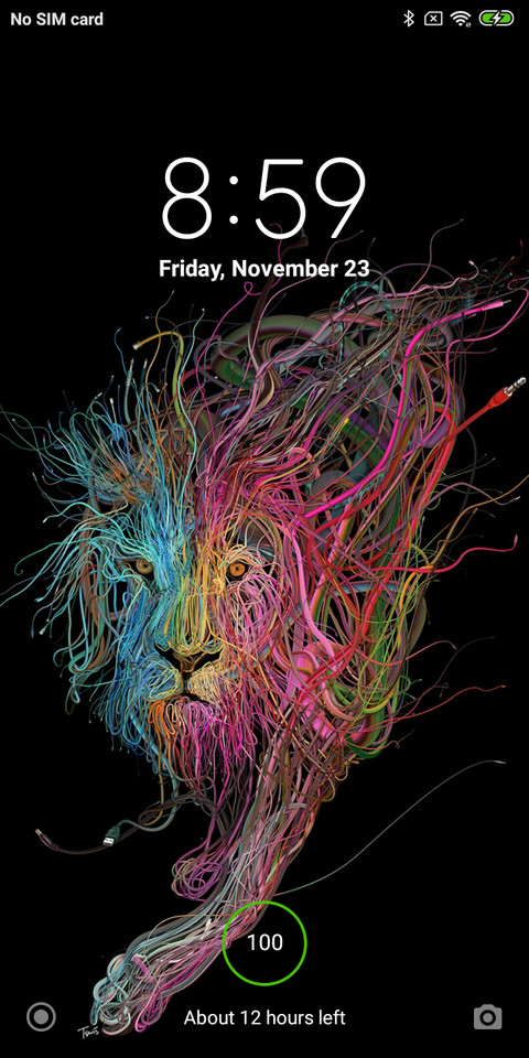 Lion V10 preview