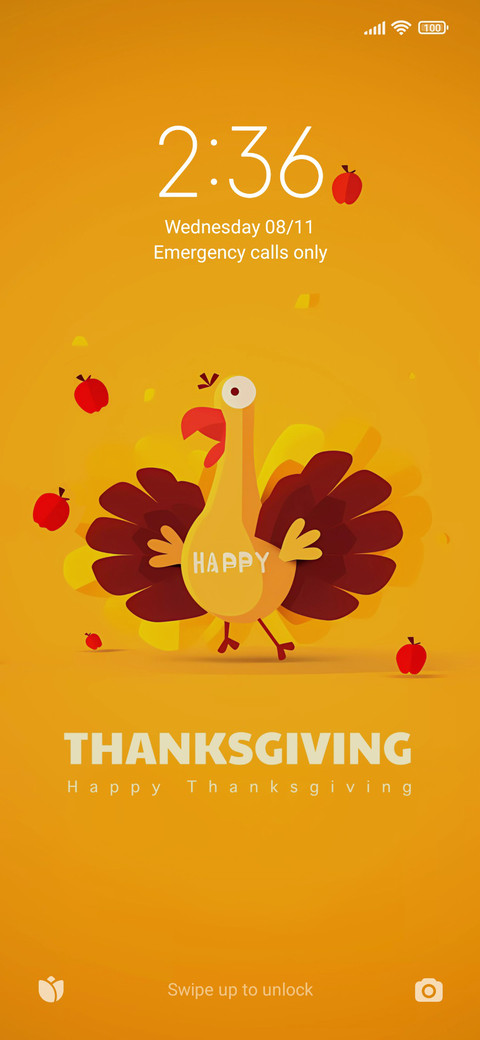 ThanksgivingTurkey preview