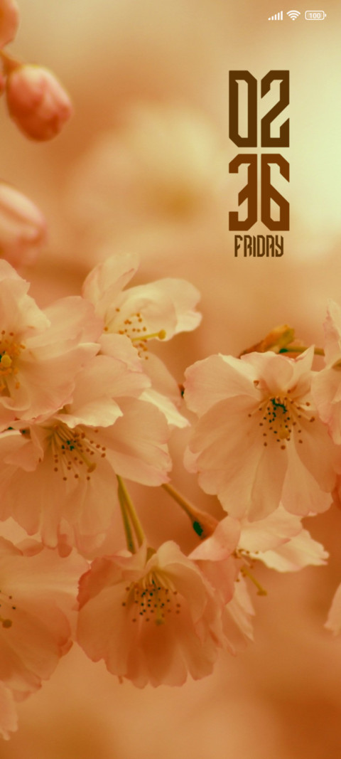 Cherry Blossom preview
