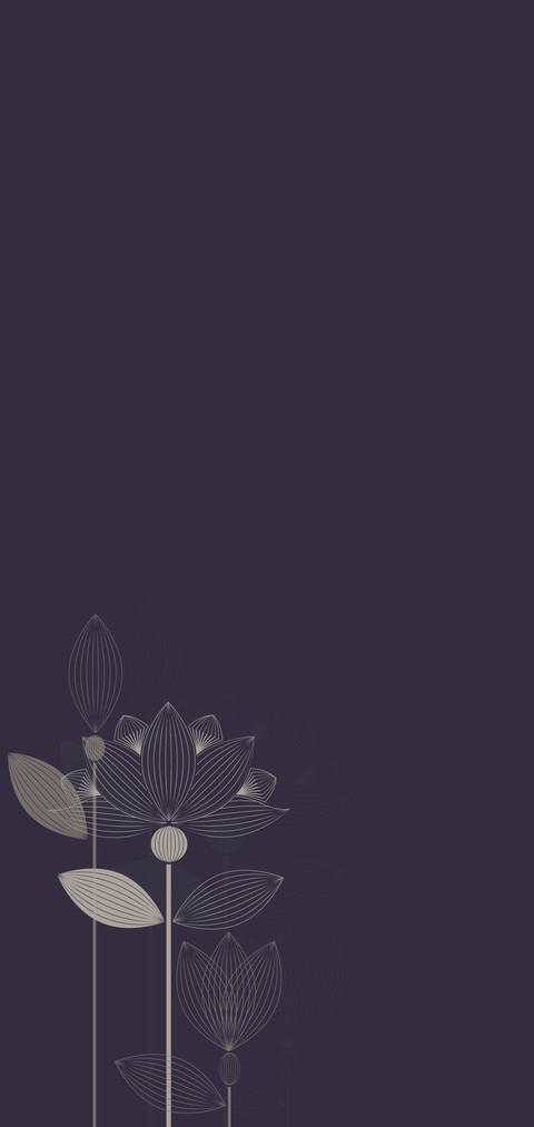 线荷 preview